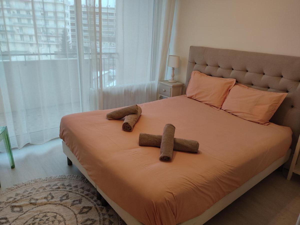 Charmant Appartement Au Bord Du Thiou - Annecy Esterno foto